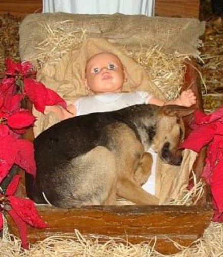 Photo envoy�e par Mme Annie Bouhier