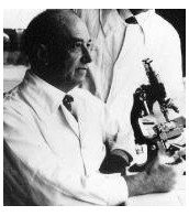 Envoy� par M. C. Ciantar