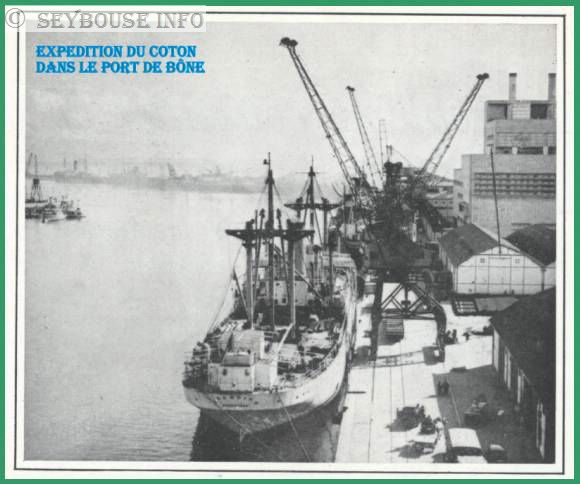 Image envoy�e par Charles Ciantar