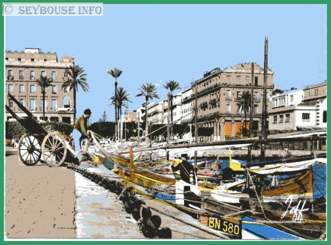 Image envoy�e par Charles Ciantar