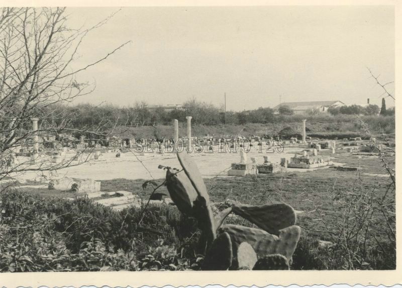 Photo Roland CAMILLERI