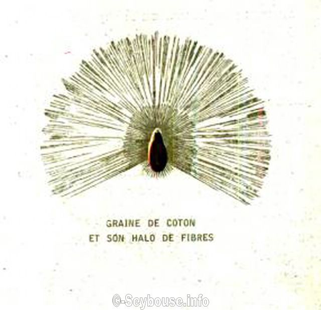 Photo envoy�e par M. Ciantar