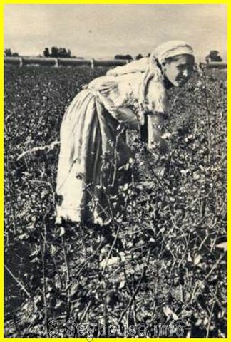 Photo envoy�e par M. Ciantar