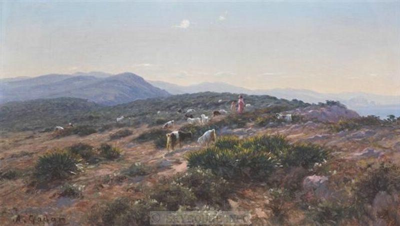 Image envoy�e par M. C. Ciantar