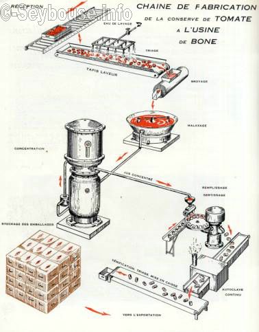 Photo Charles Ciantar