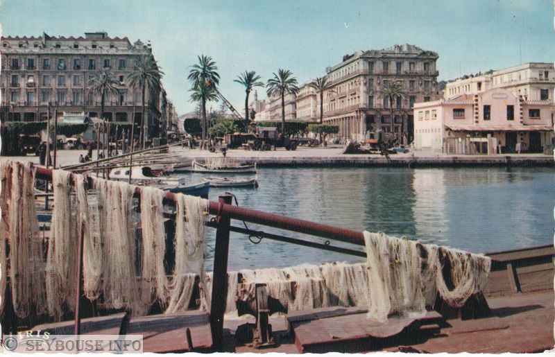 Photo de Mme Di Ma�o