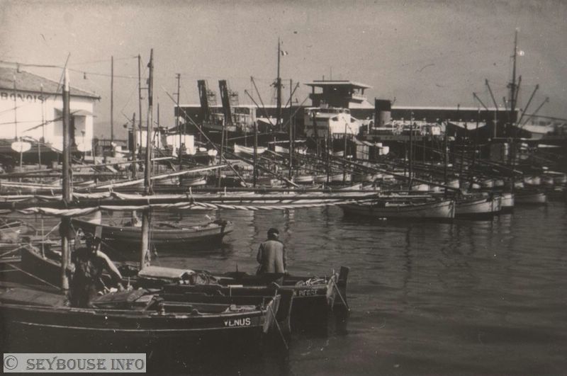 Photo de Mme Di Ma�o