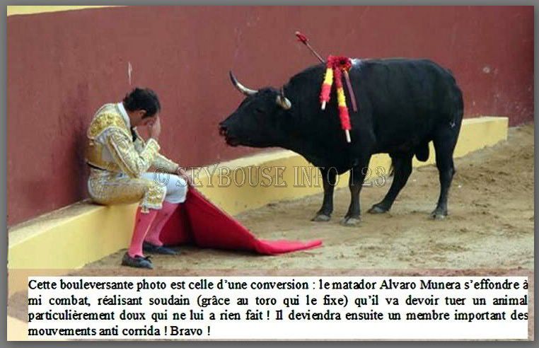 Photo envoy�e par Annie Bouhier